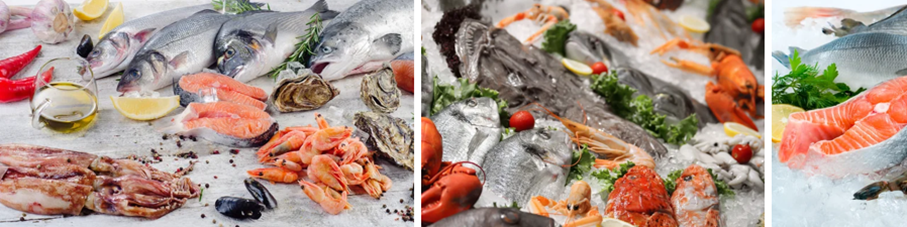 Fisch & Meeresfrüchte